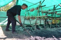 Edine'de Çevirmecilerin Mesaisi Başladı