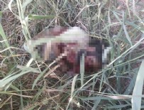 IŞİD - İşte öldürülen IŞİD üyesi o terörist