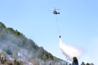Kahramanmaraş'ta Orman Yangını