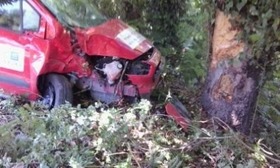 Kontrolden Çıkan Otomobil, Ağaca Çarptı Açıklaması 1 Yaralı