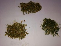 TAŞAĞıL - Manavgat'ta Uyuşturucu Operasyonları