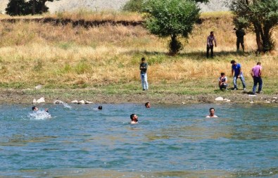 Muş'ta Nehre Giren Genç Kayboldu