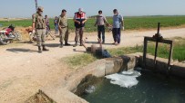 SÜTLÜCE - Şanlıurfa'da Sulama Kanalında Ceset Bulundu