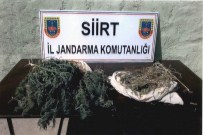 Siirt'te Uyuşturucu Operasyonu