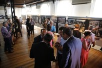 TARIŞ ZEYTIN - TARİŞ, Asırlık Mücadelesini Sergiliyor