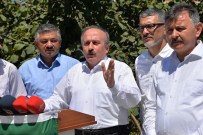 Türkiye'nin Tahmini Fındık Rekoltesi