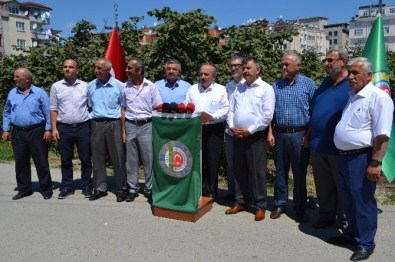 TZOB'un Fındık Rekolte Tahmini 590 Bin Ton