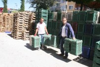 TOPTANCI HALİ - Yozgat'ta Pazarcı Esnafı Toptancı Halini Bekliyor