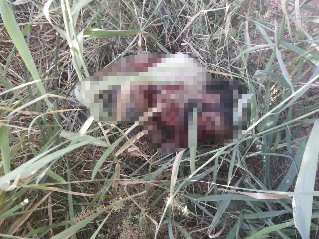 İşte öldürülen IŞİD üyesi o terörist