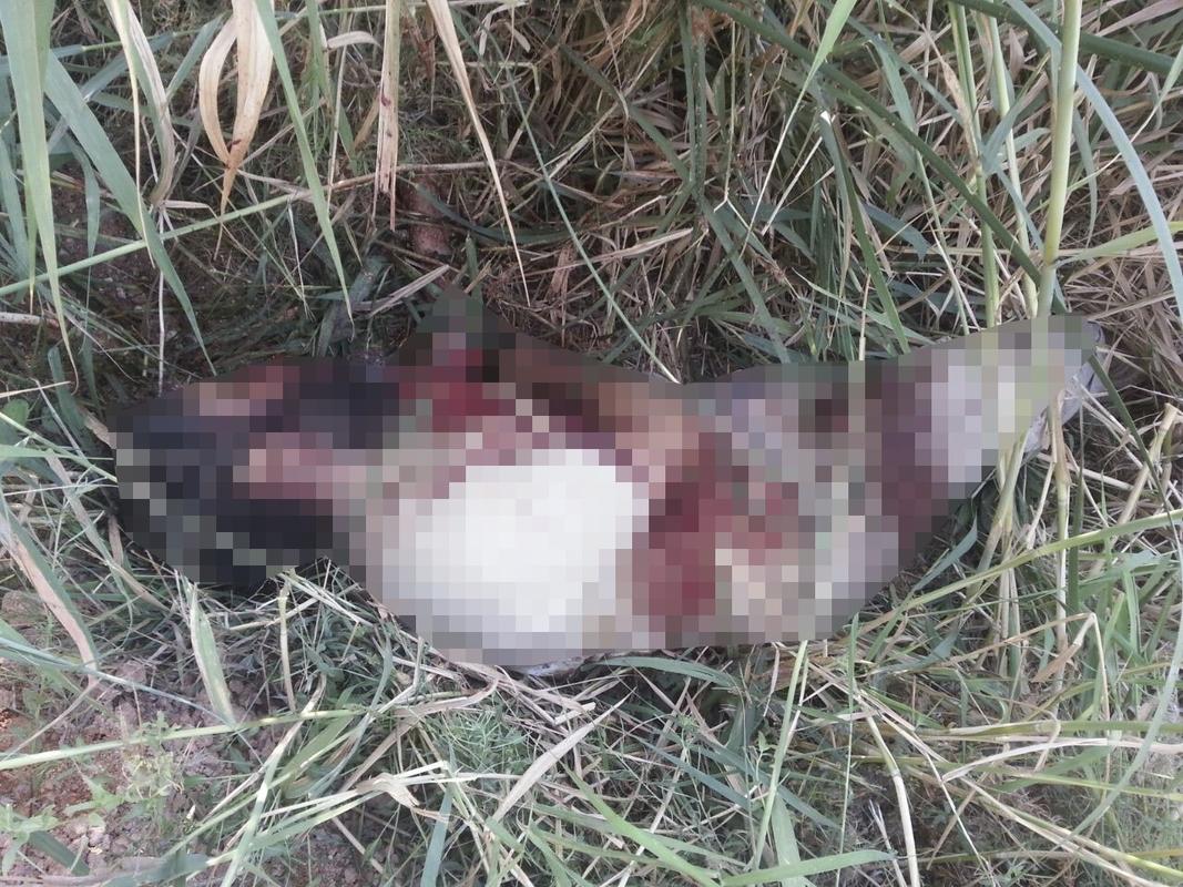 İşte öldürülen IŞİD üyesi o terörist