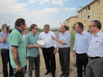 VURAL KAVUNCU - Bölge Müdürü Öner Özgür Açıklaması Arazi Sahiplerine Kamulaştırma Bedelleri Eylül Ayında Ödenecek