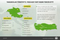 OLYMPIQUE MARSILYA - GRAFİKLİ - Yabancılar Türkiye'yi, Yerliler Yurt Dışını Tercih Etti