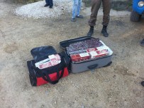 TAŞAĞıL - Manavgat'ta Jandarmadan Yol Denetimi