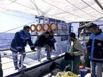 BARBUNYA - Ordu'da Yasak Balık Avına 26 Bin Lira Ceza