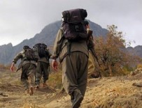 PKK'ya son kez 'silah bırak' çağrısı