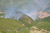 Tunceli'de Orman Yangını