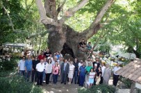 KAMU GÖREVİ - Vali Çiçek Basınla Buluştu