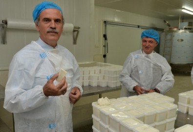 Besaş'ın Yeni Ürünü Beyaz Peynir