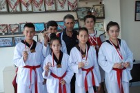 TUANA - Didimli Tekvandocular Madalyaları Topladı