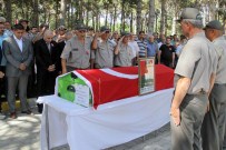 ZIYA POLAT - Elazığ'daki Örtü Yangını