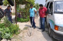 ALANYURT - İnegöl'de Yılan Paniği