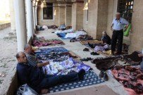 SELIMIYE CAMII - Kırkpınar Sevdalıları Geceyi Selimiye Camii Avlusunda Geçiriyor