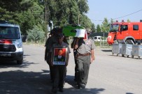 İHSAN YıLDıRıM - Orman Şehidi Son Yolculuğuna Uğurlandı