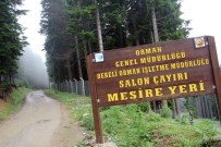 TKDK Desteğiyle Yaz Ve Kış Turizmine Ev Sahipliği Yapacak