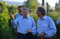 SÜLEYMAN KAHRAMAN - Valimiz Sayın Süleyman Kahraman, Seracılık Projesi İçin İncelemelerde Bulundu