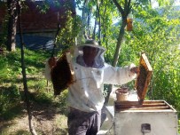 OYUN HAVASI - Arılara Çiftetelli Ve Arabesk Dinletiyor