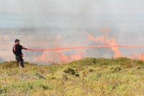 Aydın'da Makilik Alanda Yangın