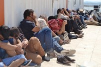 Ayvalık'ta 45 Kaçak Yakalandı