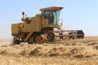 Biçerdöver Operatörlerine 'Hasat' Uyarısı