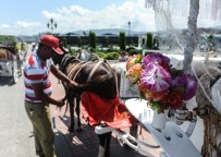 FAYTON - Faytoncuların Nostalji Mesaisi