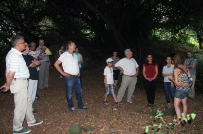Giresun Adası'na Ziyaretçilerin Yoğun İlgisi Her Geçen Gün Artarak Devam Ediyor