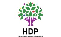 HABER KANALI - HDP Grup Başkanvekilleri'nden Açıklama