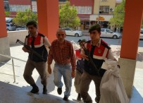 AKMEŞE - Kocaeli'de Hint Keneviri Operasyonu Açıklaması 1 Gözaltı