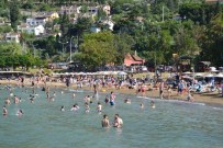 Mavi Bayraklı Plaj Doldu Taştı