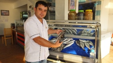 Burhaniye İskele'de Alkolsüz Balıkçı Lokantası