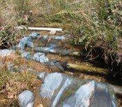 SU KAYBI - Gevaş'ta Su Kesintilerine Tepki