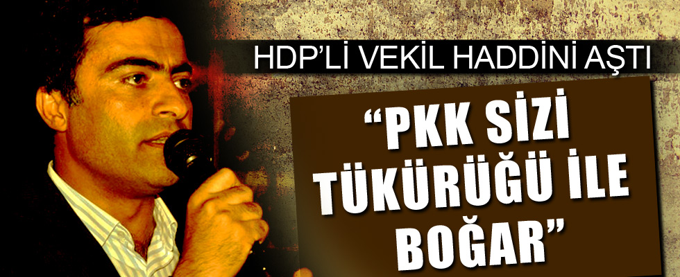 HDP'li vekilden skandal sözler