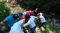 NECATI ÇELIK - Kocaeli'de Kamyonet Dereye Uçtu Açıklaması 4 Yaralı