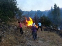 KOCAÖZÜ - Malatya'da Anız Yangını 3 Bahçeyi Kül Etti