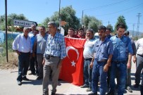 ZEYTINOVA - Üretici Suya Kavuşamamaktan Yakınıyor