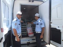 Yozgat'ta 1 Ton 140 Kilo Kaçak Avlanmış Sazan Ele Geçirildi