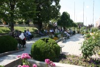 Afyonkarahisar'da Hava Durumu