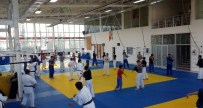 ERDAL DOĞAN - Olimpik Merkeze Yeni Judocular