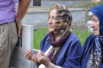 Prof. Dr. Abdülkadir Karahan Anıldı