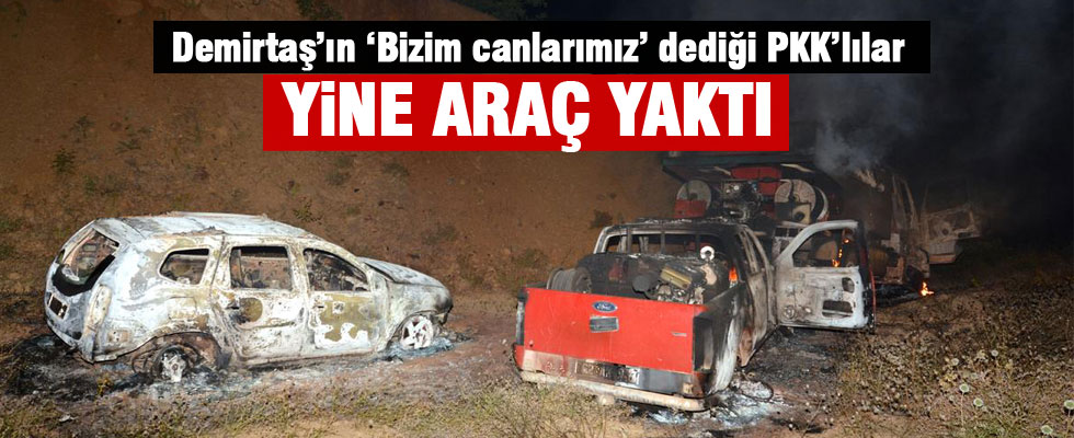Tunceli'de yol kesen PKK'lılar 3 aracı yaktı