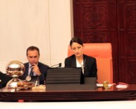 ŞAFAK PAVEY - Arınç Pavey'e Sitem Etti